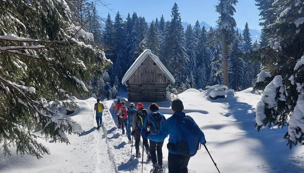Schneeschuhtour in der Wintertraumlandschaft | © Copyright: DAV Sektion Isny