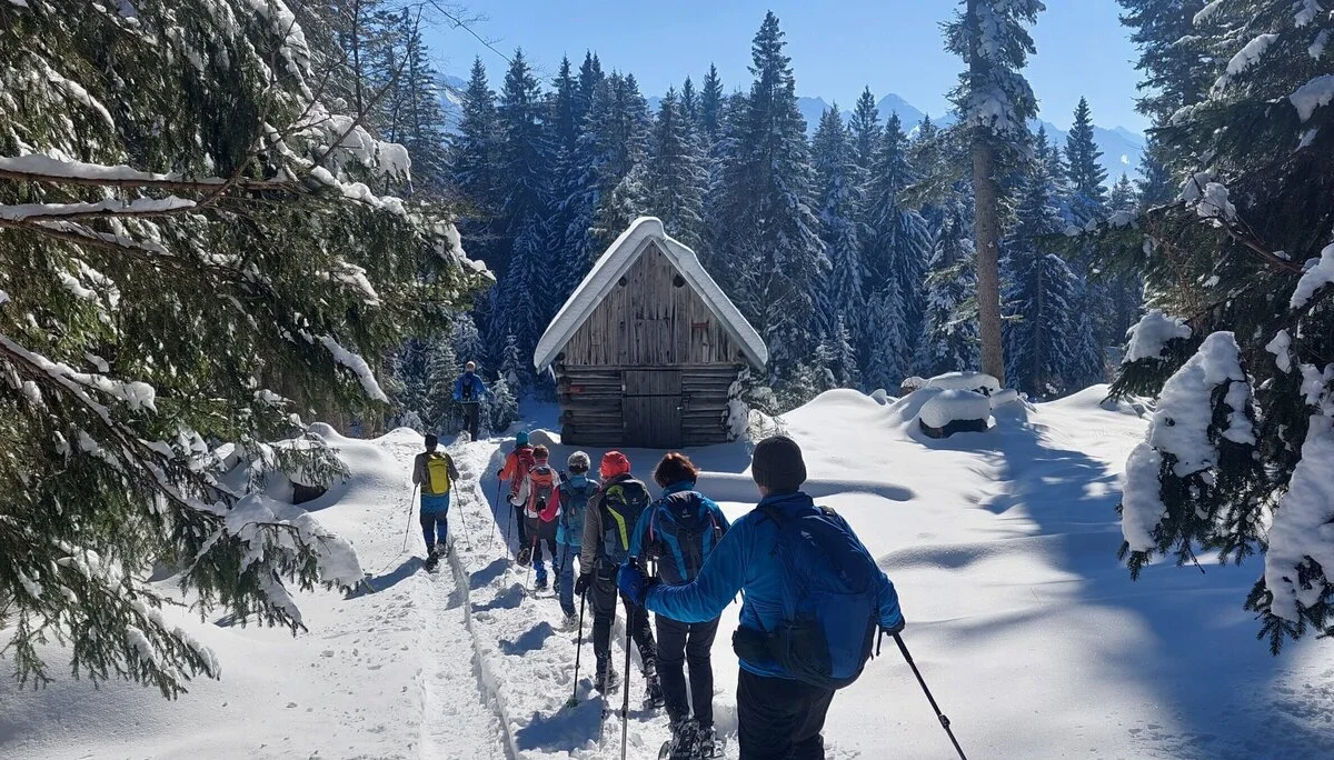 Schneeschuhtour in der Wintertraumlandschaft | © Copyright: DAV Sektion Isny