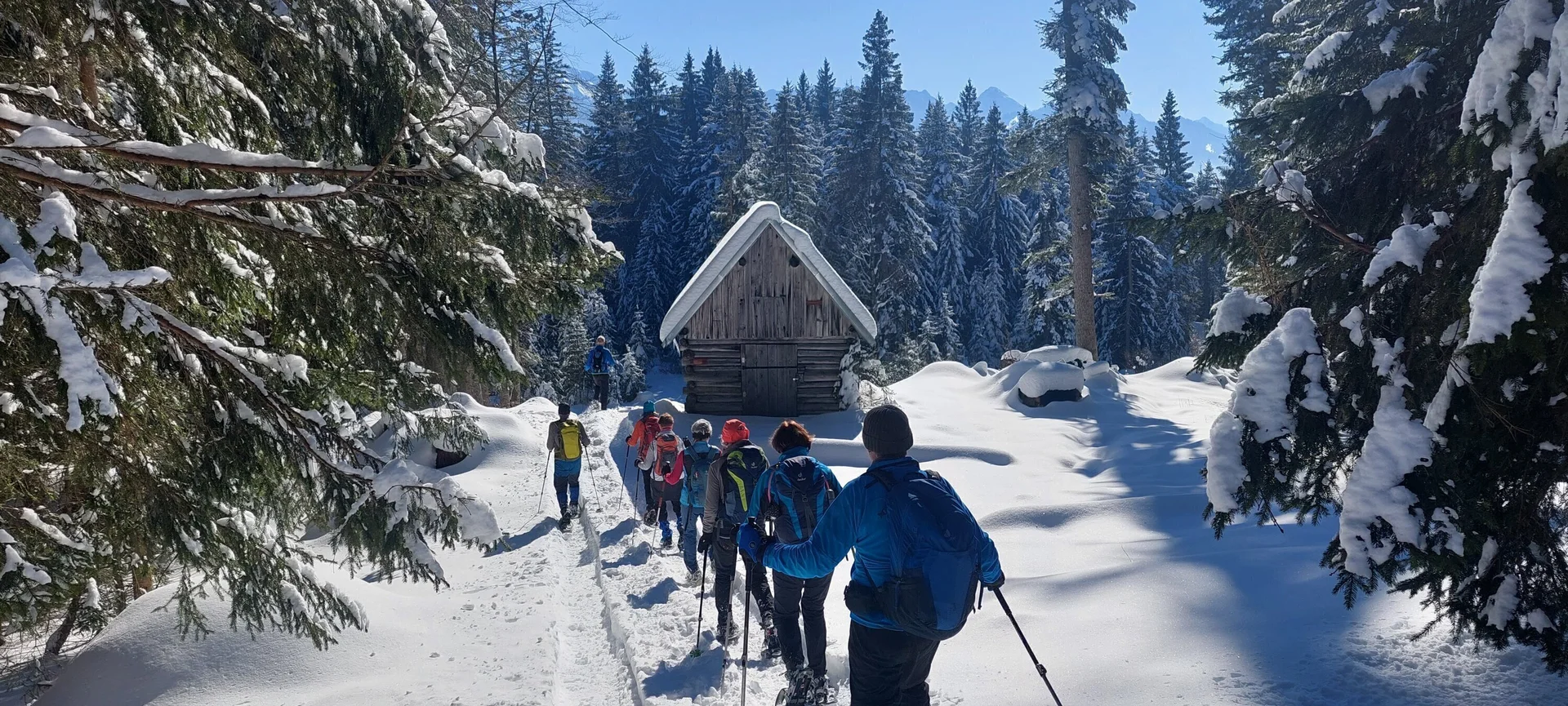 Schneeschuhtour in der Wintertraumlandschaft | © Copyright: DAV Sektion Isny