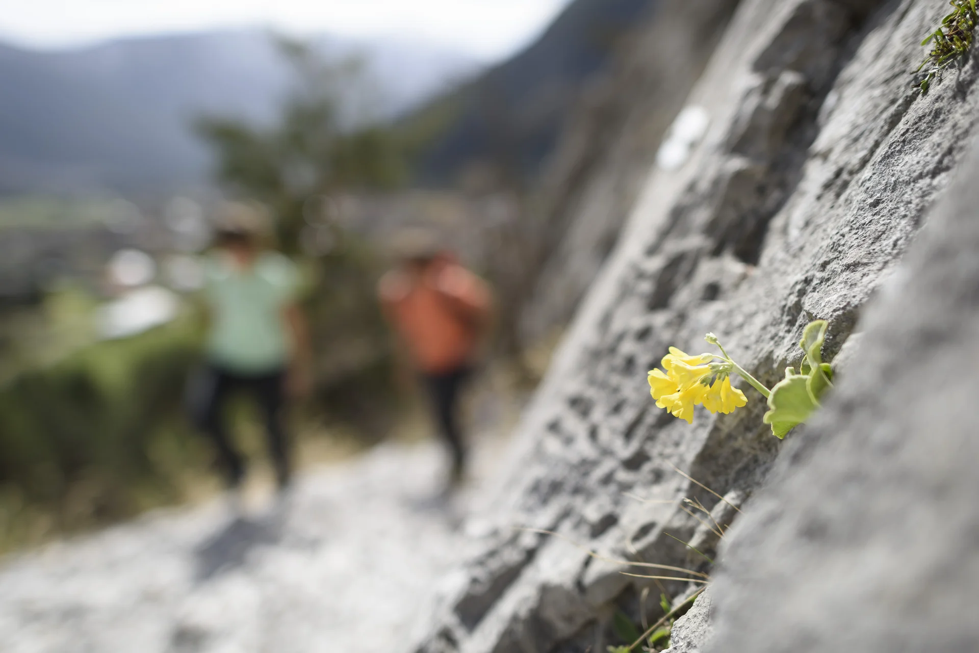 DAV Mitgliedschaft Teaser | © DAV