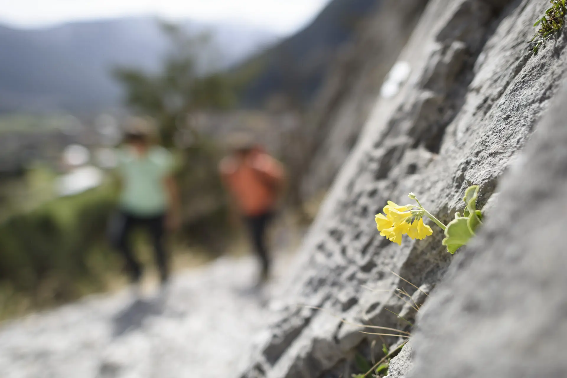 DAV Mitgliedschaft Teaser | © DAV