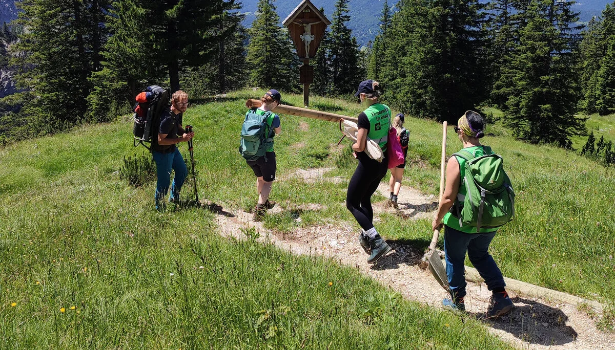 Wegbereitung: Menschen tragen gemeinsam einen Baumstamm über eine Wiese | © DAV